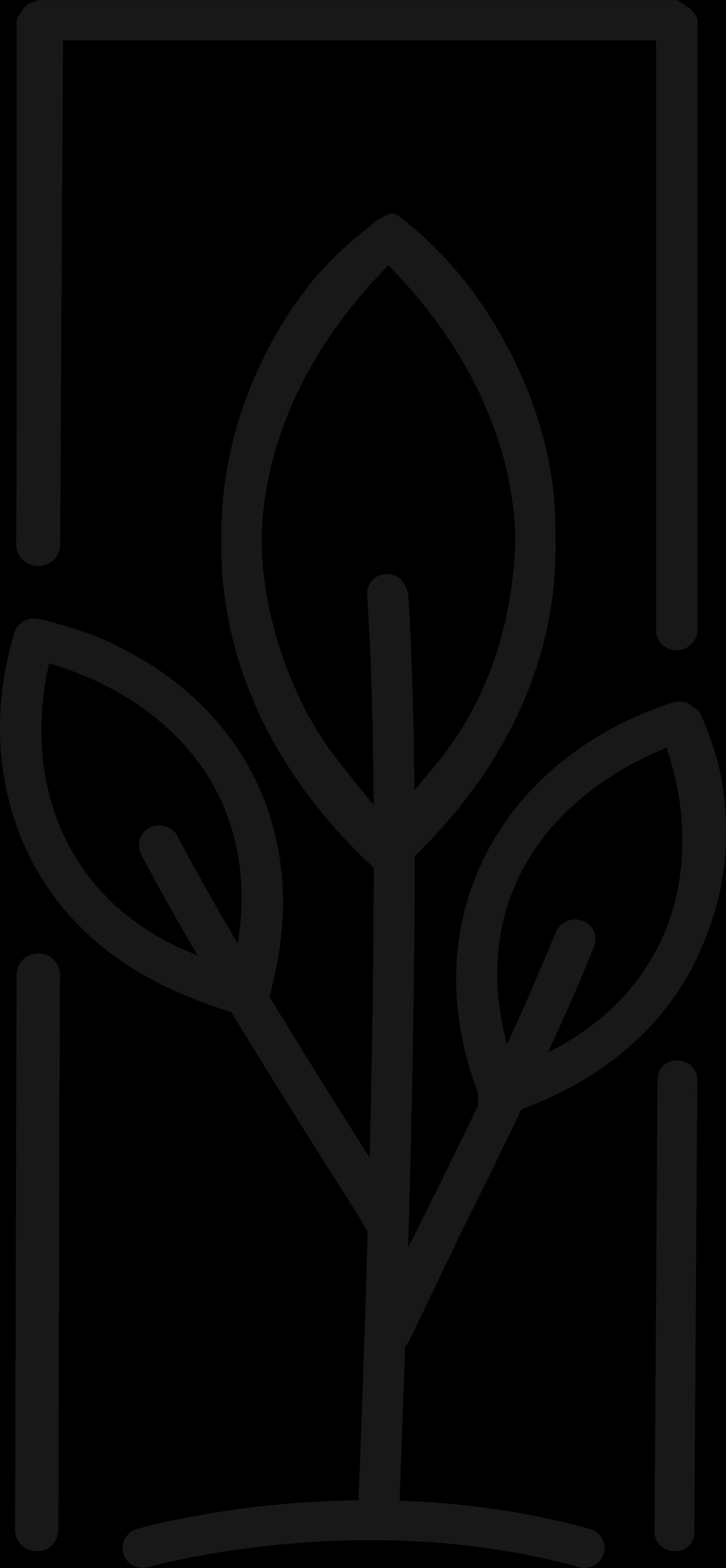 ZOYA Botanicals logo